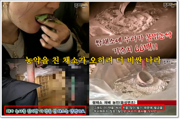 사람과먹거리 이미지