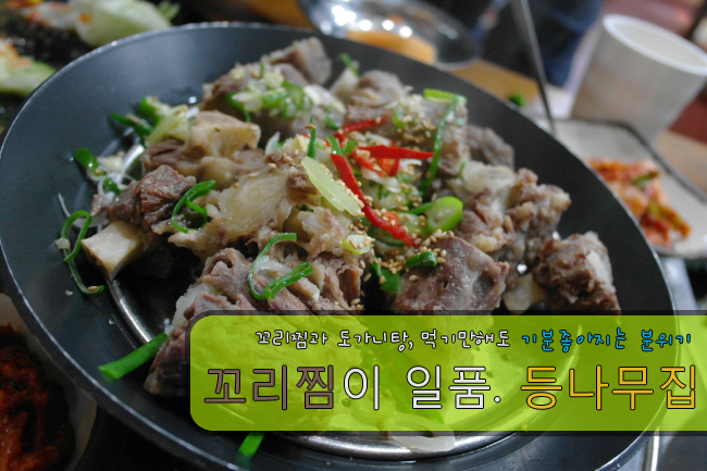 등나무집 이미지
