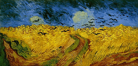 wheat crows